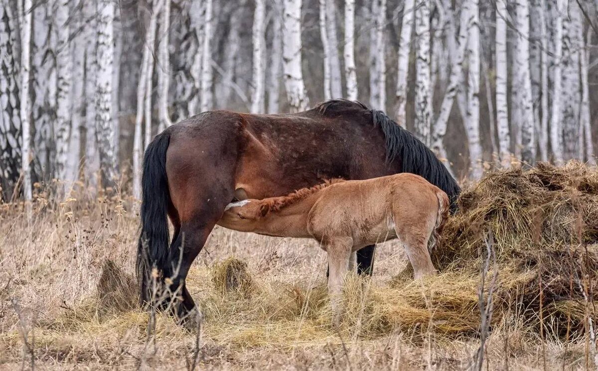 Фото: Марина Мочалова