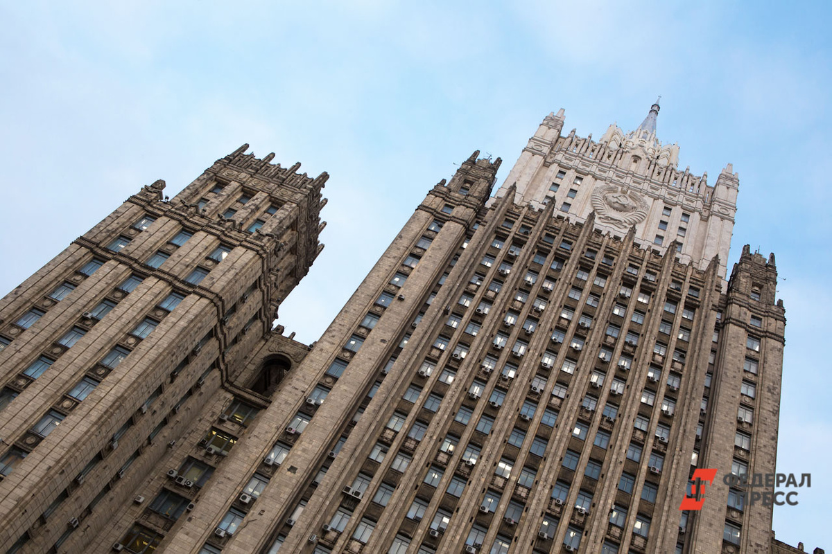 Это стало симметричным ответом на действия властей ФРГ.  Фото: Фото: ФедералПресс / Елена Сычёва