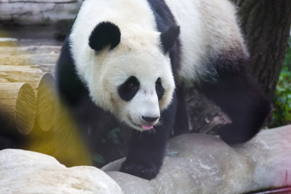    Наталья Шатохина/NEWS.ru