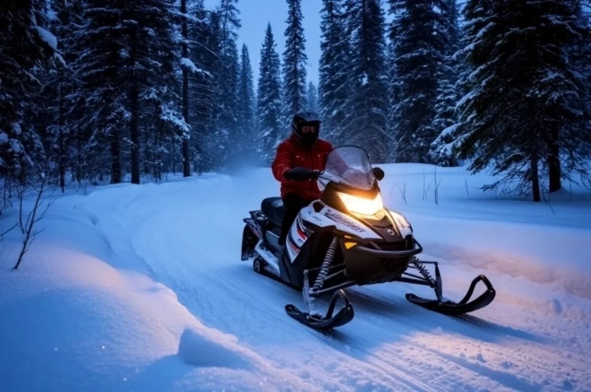   Мужчина погиб во время катания на снегоходе в Вадском районе