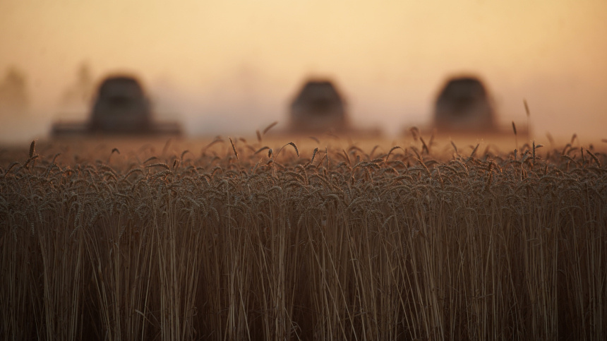    Фото: ИЗВЕСТИЯ/Эдуард Корниенко; 5-tv.ru