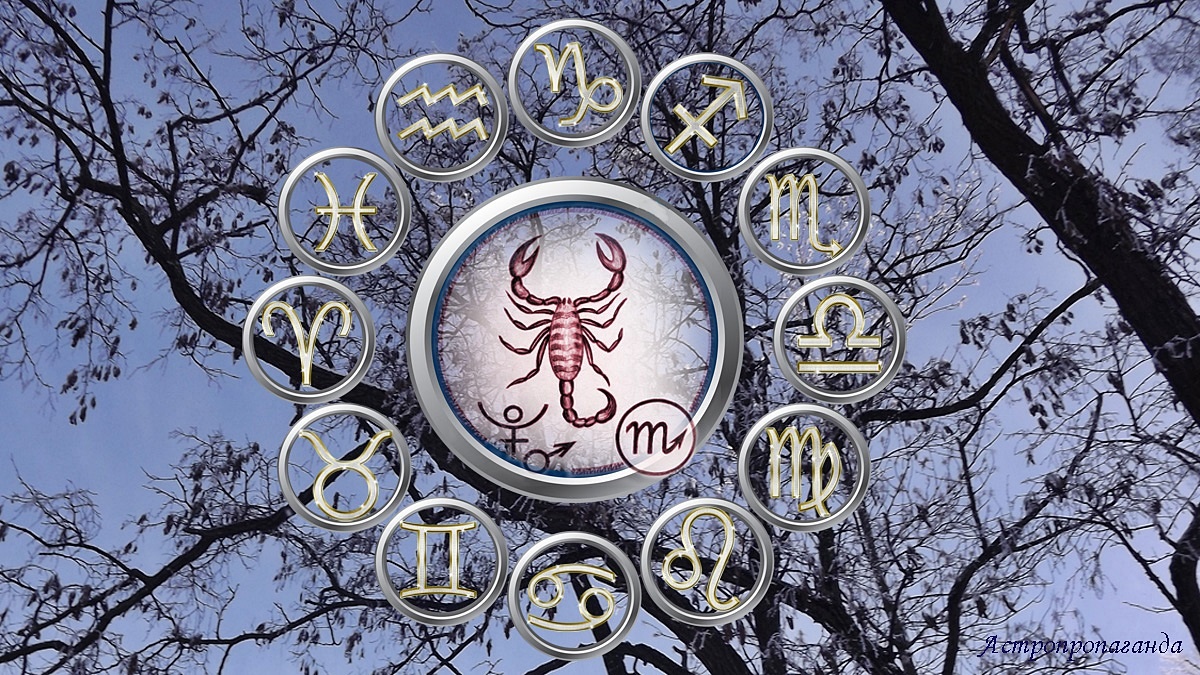 Гороскоп для Скорпиона со 2 февраля по 1 марта 2026.
