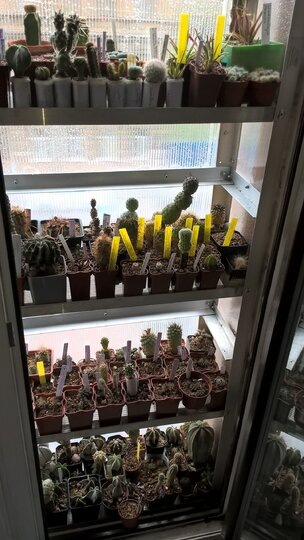    предоставлено героем публикации