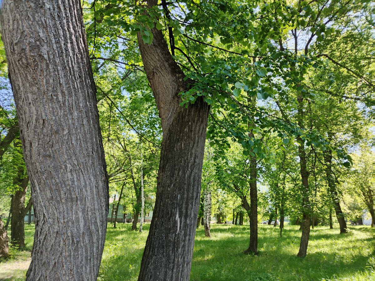 Фото автора.