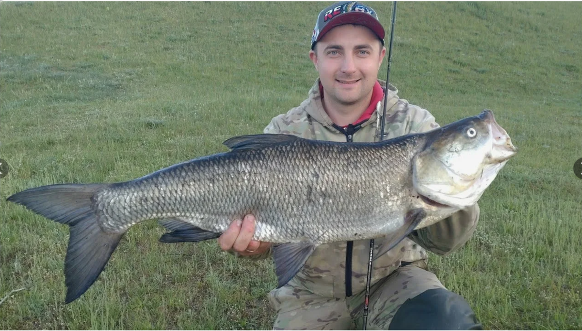 (фото из открытых источников)