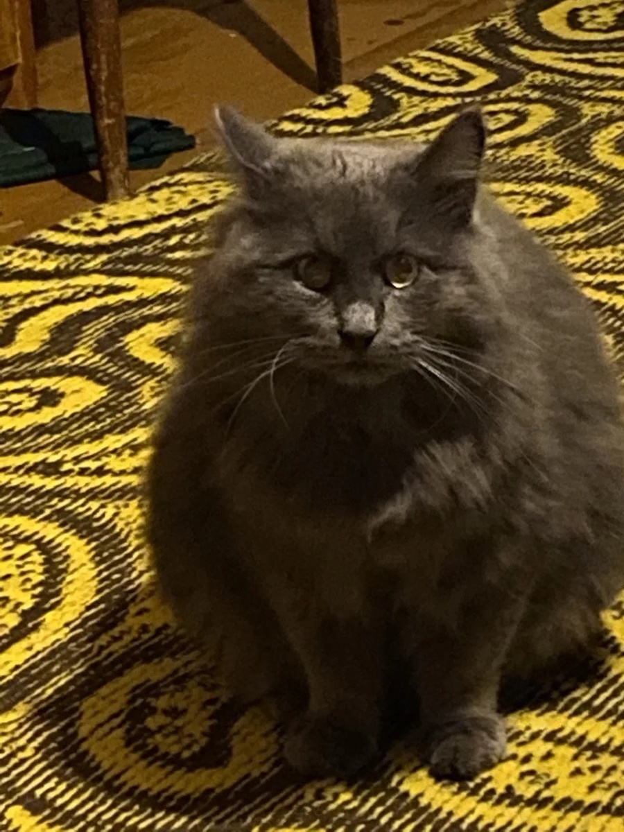 Вася, он же Зайка, он же любимый мальчик Елены Касьяновой