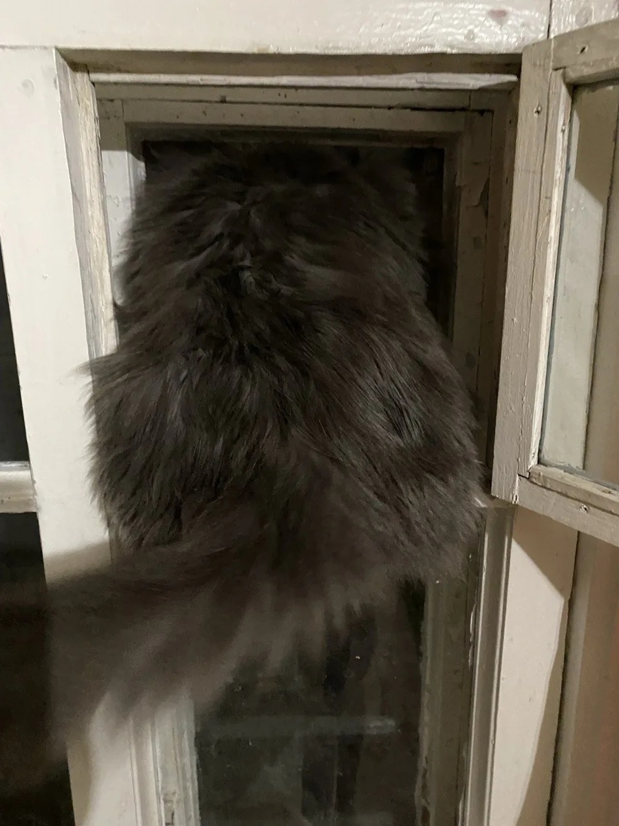 И вовсе Вася не застрял, а закрыл собой пространство от холодного воздуха 