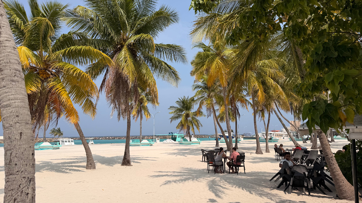 Остров Камаду. Мальдивы. Белоснежный песок и пальмы.