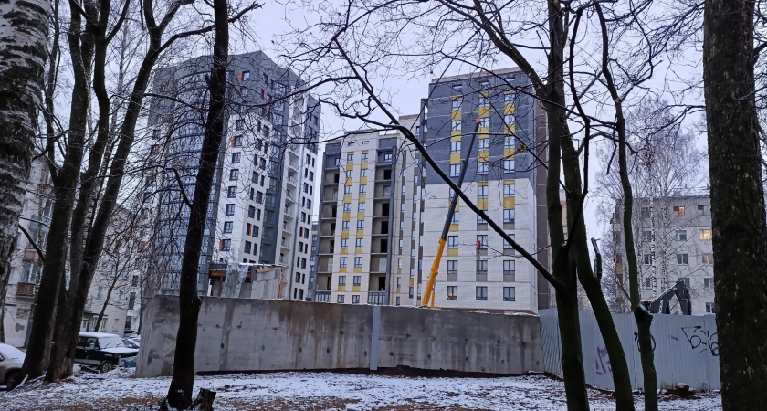    Фото: progorod43.ru