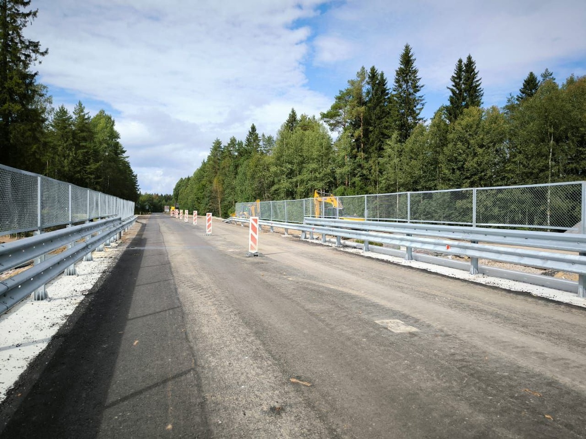    Путепровод Импилахти. Фото: Правительство Карелии