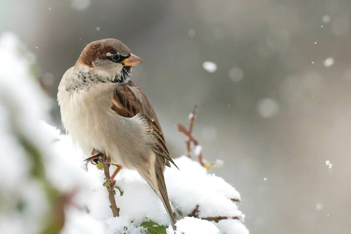    Фото: Надежда Муравьева