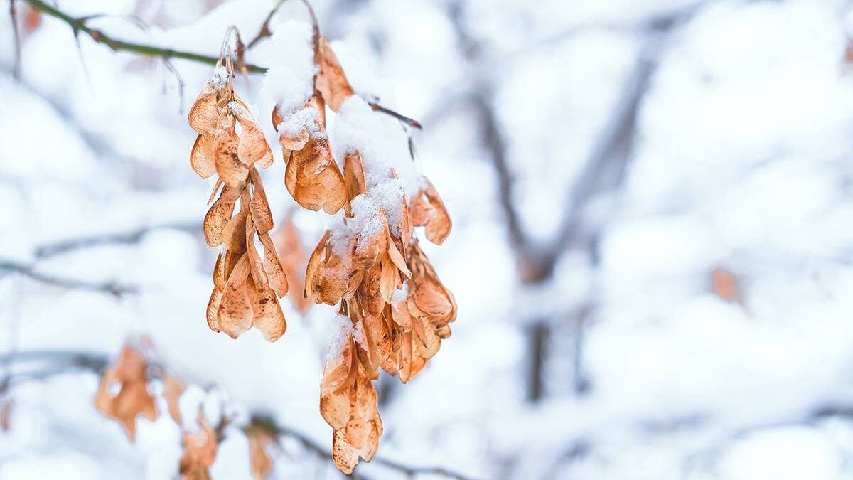    Фото: Shutterstock