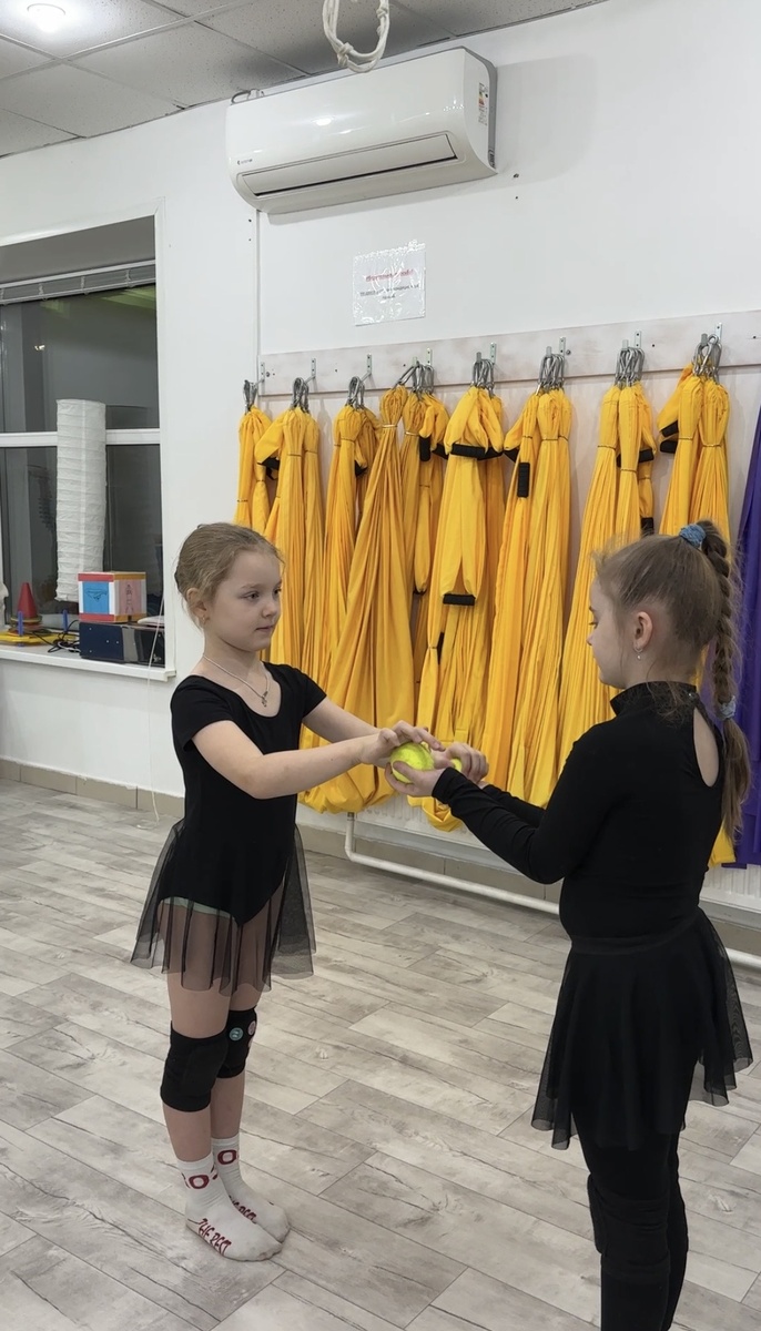 Передача мячей в парах 