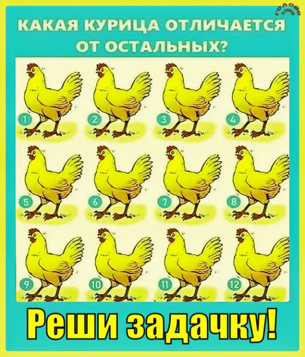 🐔 Найди «не такую» курицу! Проверь зоркость за 30 секунд