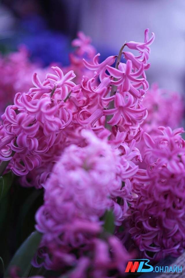    ФОТО: МТВ.ОНЛАЙН