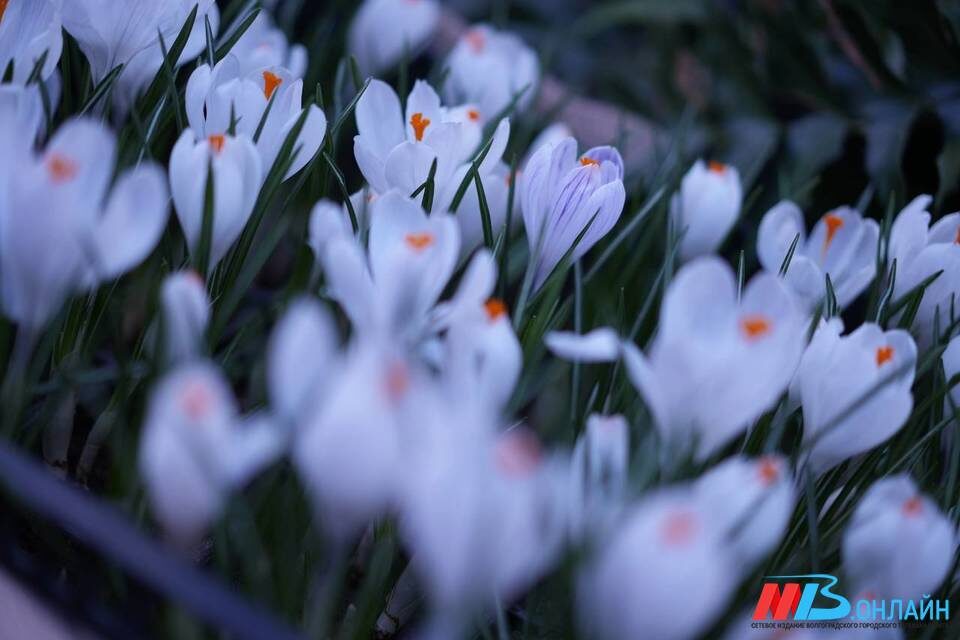    ФОТО: МТВ.ОНЛАЙН