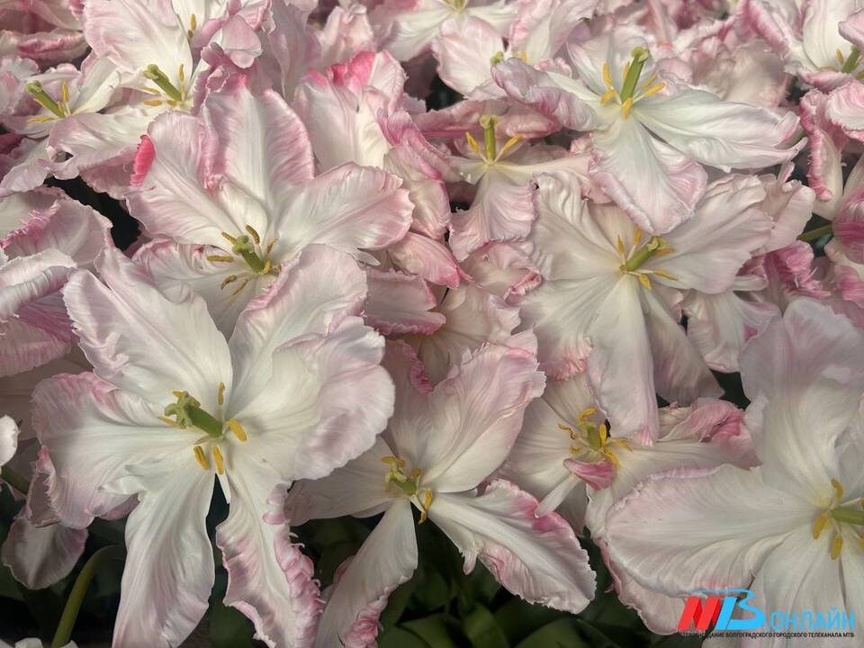    ФОТО: МТВ.ОНЛАЙН