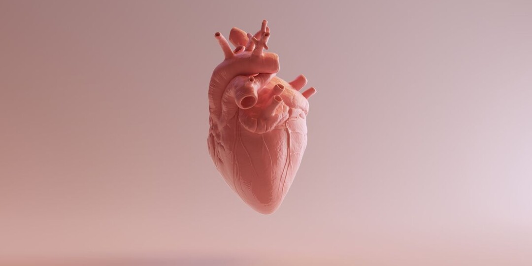 Сердце и мочевой пузырь: почему ваш сон и походы в туалет определяют сердечно-сосудистый риск