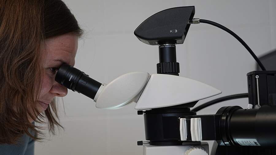    Фото: ИЗВЕСТИЯ/Павел Волков