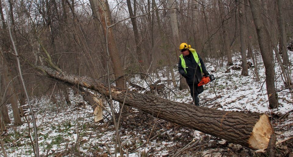    Медиасток.рф