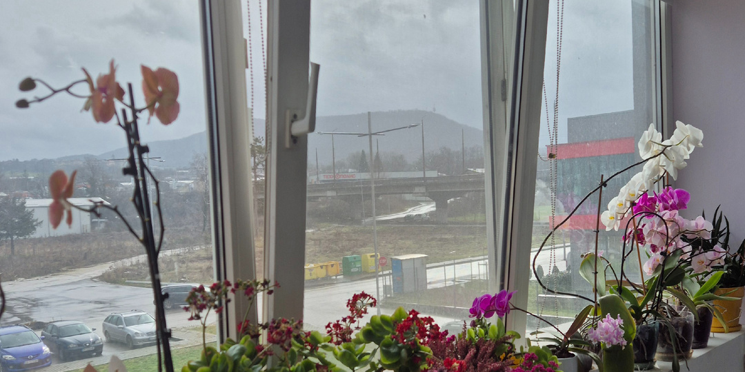 Про первую рабочую неделю на болгарской работе и прочие развлечения.