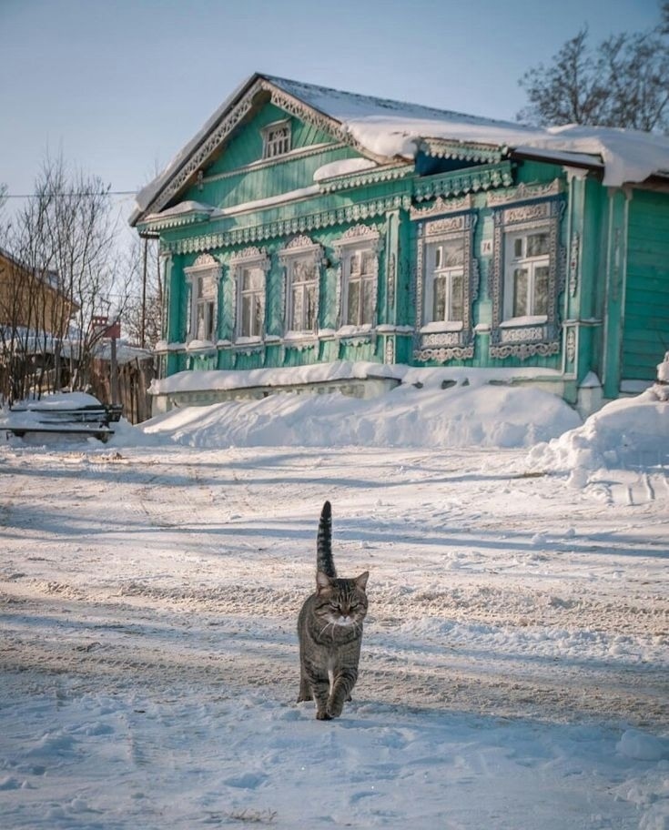 иллюстрация из яндекс картинки.