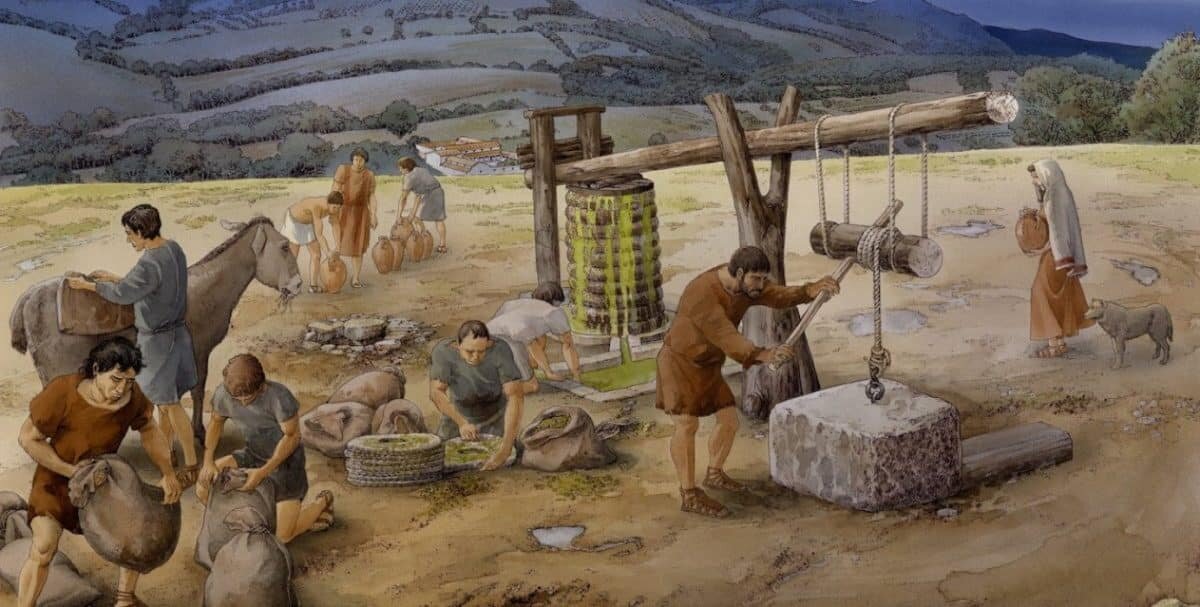    Визуализация производства оливкового масла в сельской местности в I веке до нашей эры, Каза Нуове, Тоскана, Италия / © Studio Inklink, Roman Peasant Project, Phys.org