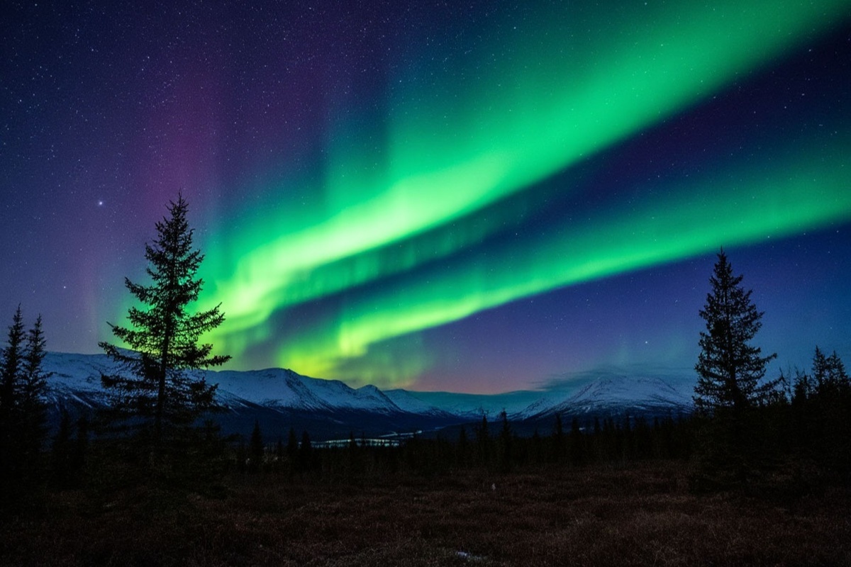    Фото: Коллаж RuNews24.ru