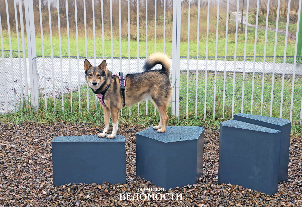 Фото: Фарит Муратов