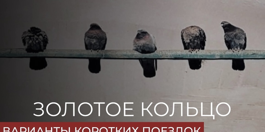 Куда поехать на предстоящие праздники: пять маршрутов по Золотому кольцу из Москвы