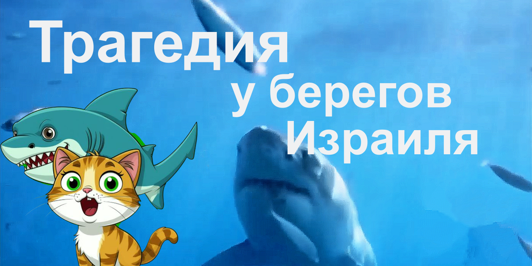 Когда подводные друзья становятся опасными: тревожная история акул-убийц