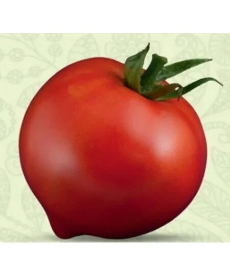 Томат Мучачос: что это за сорт и почему он так популярен