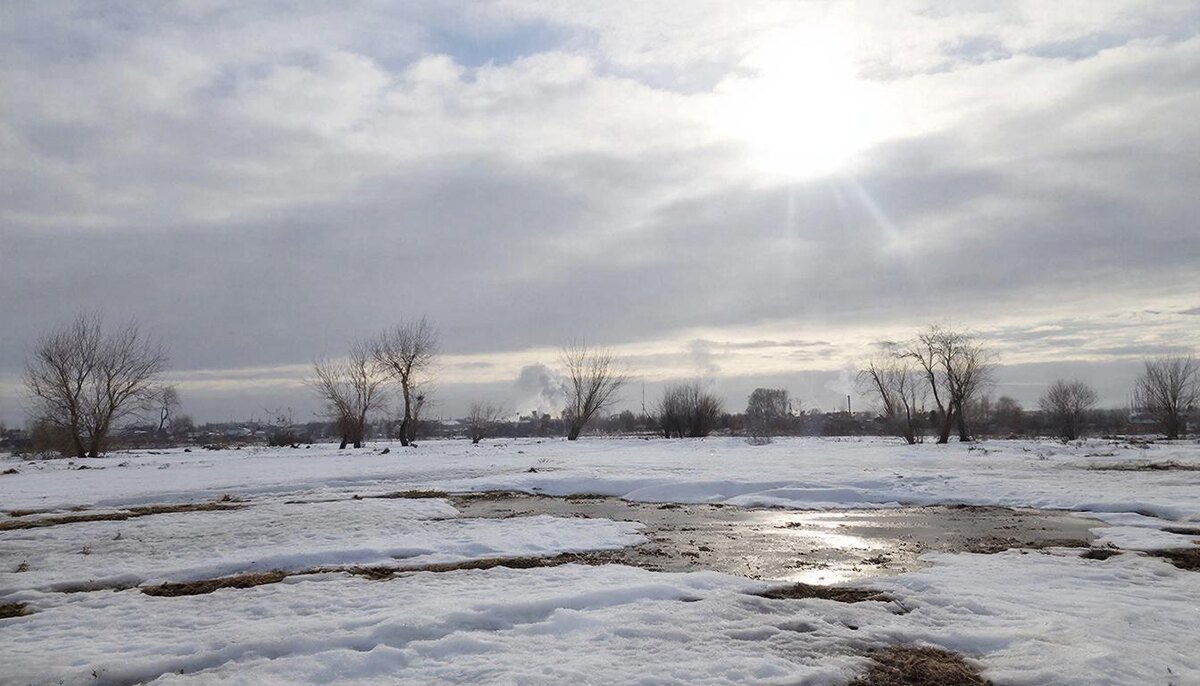 Аномальные  морозы отступили.