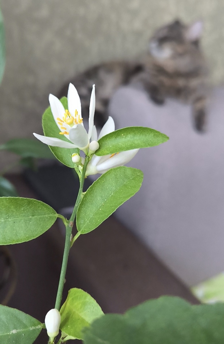 Все фотографии в статье авторские