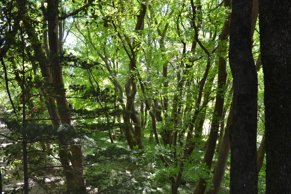    Прогулки с детьми в Алуште: лучшие маршруты для незабываемых семейных моментов admin