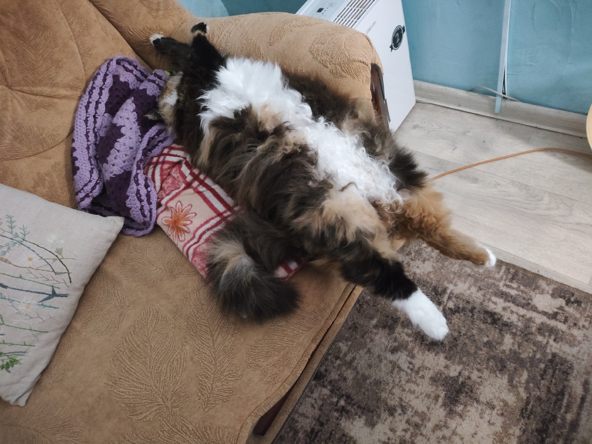 Я все наблюдала, когда же она ссыплется )))