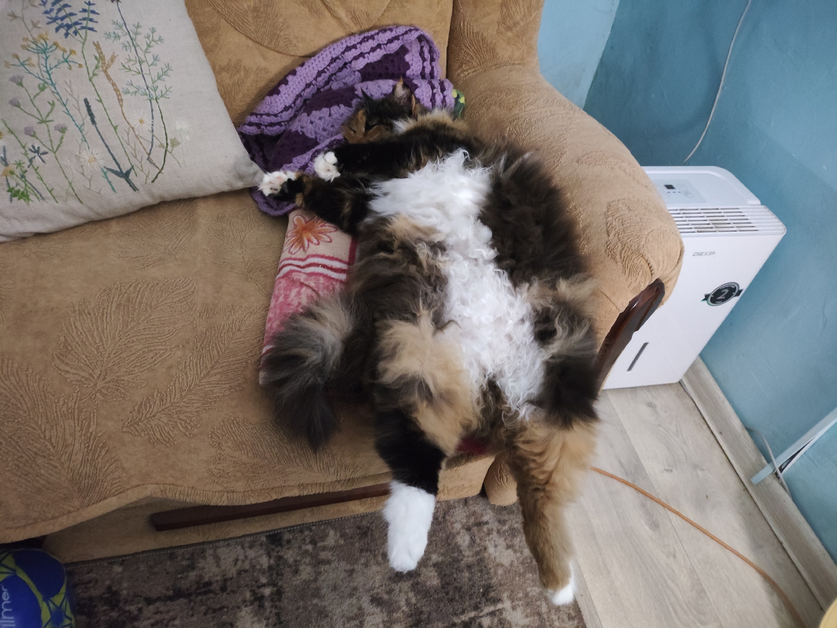 Не, крепко лежит )))