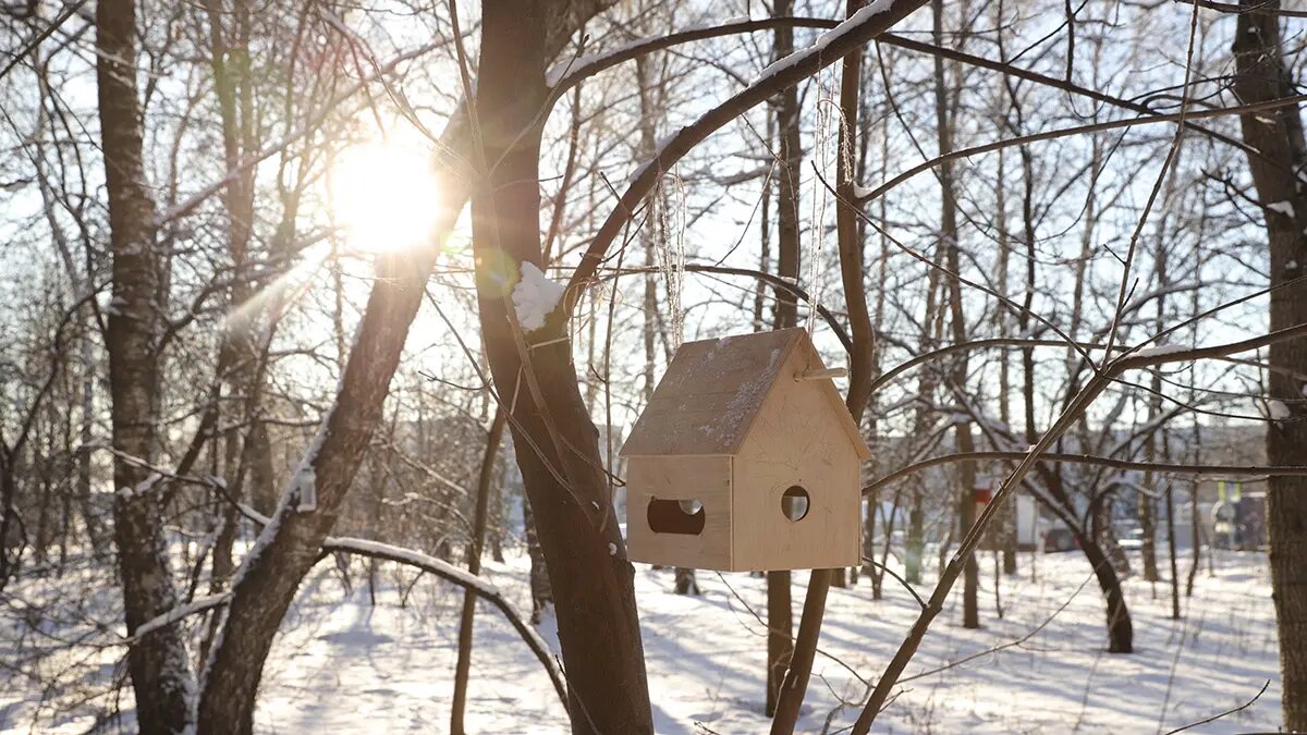    Фото: vm.ru Павел Евсеев