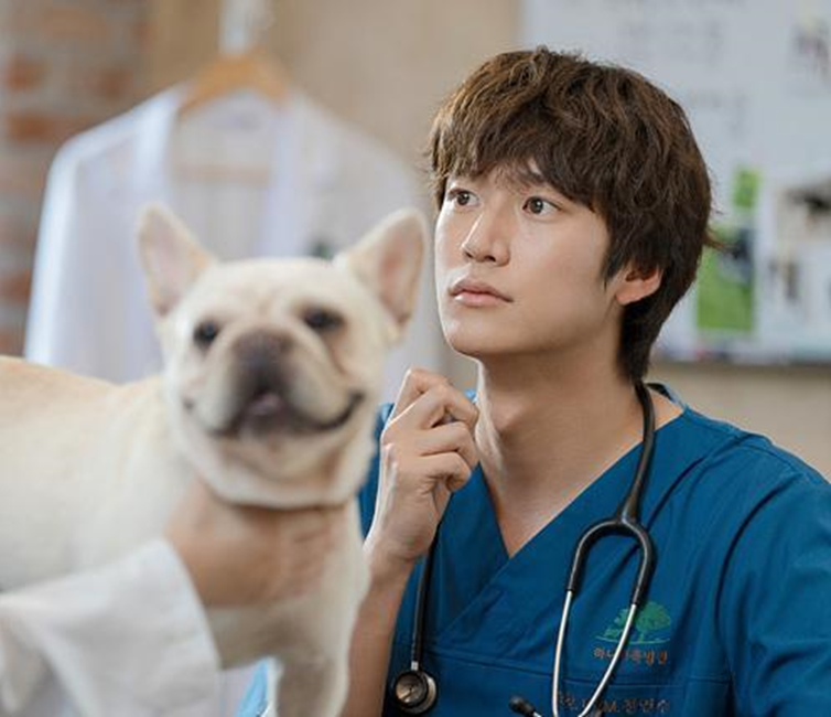 Дорама "Мотель «Калифорния»" 2025