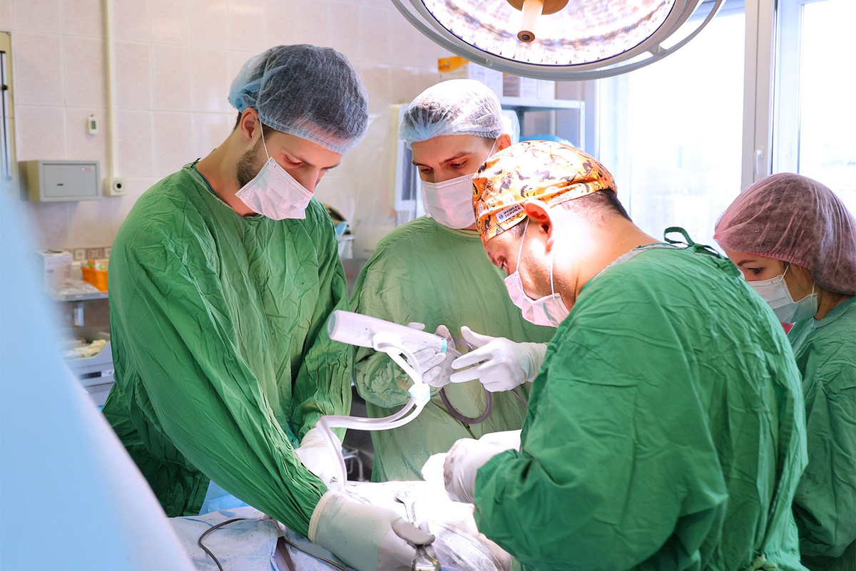 Источник: https://www.mos.ru/mayor/themes/14088050/