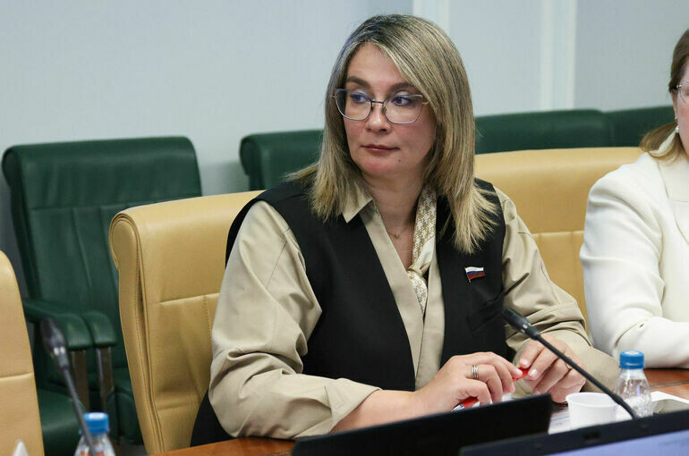   Денис Вышинский/Пресс-служба Совета Федерации