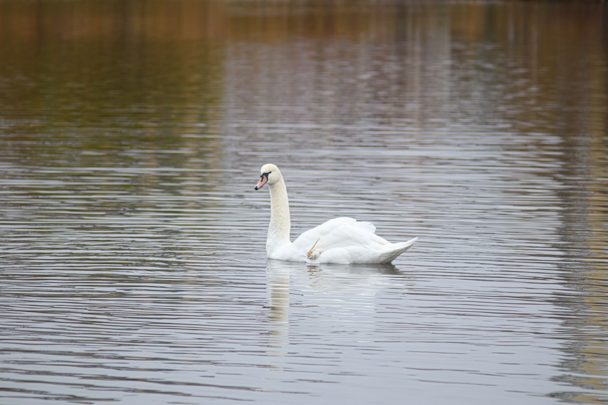 Фото: Александр Лобынцев 