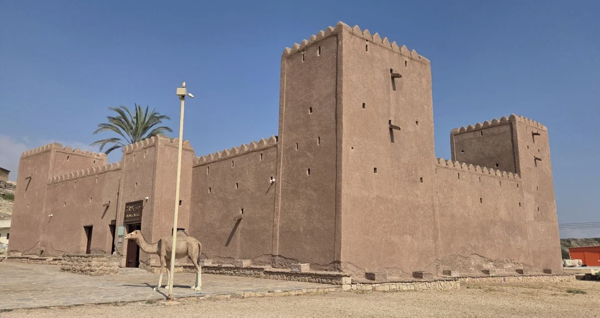 Верблюд не настоящий! 