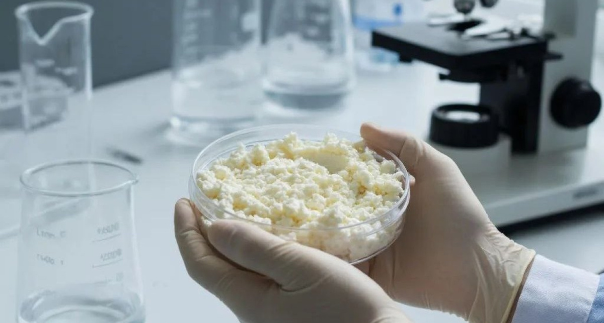    ТВЕРСКОЙ ФИЛИАЛ ФГБУ "ВНИИЗЖ" Тверь Ярославль