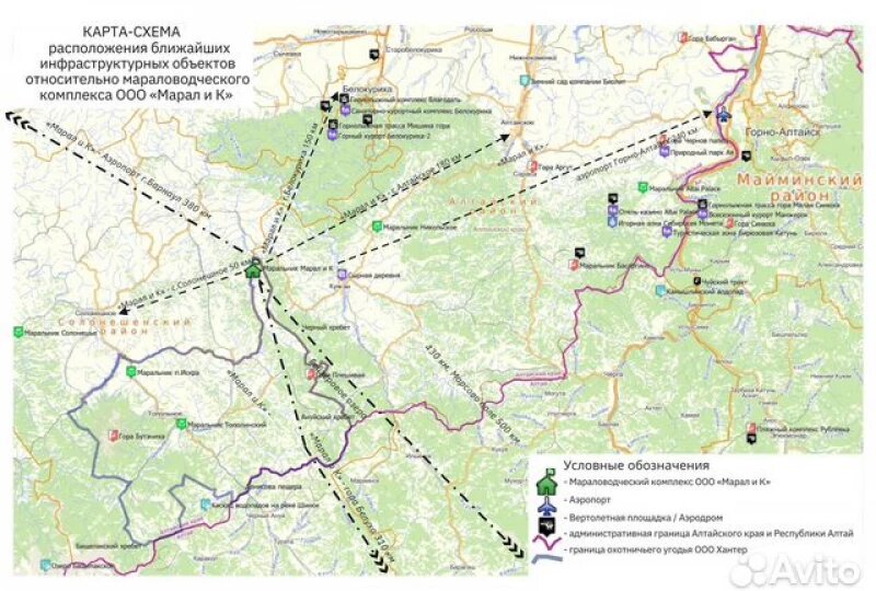В Алтайском крае продают мараловодческий и охотничий комплекс за 750 млн рублей