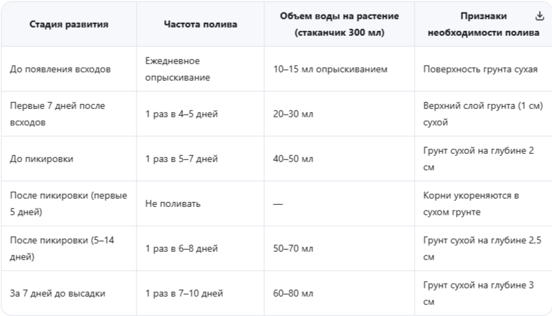 Частота полива рассады томатов меняется по мере роста растений: