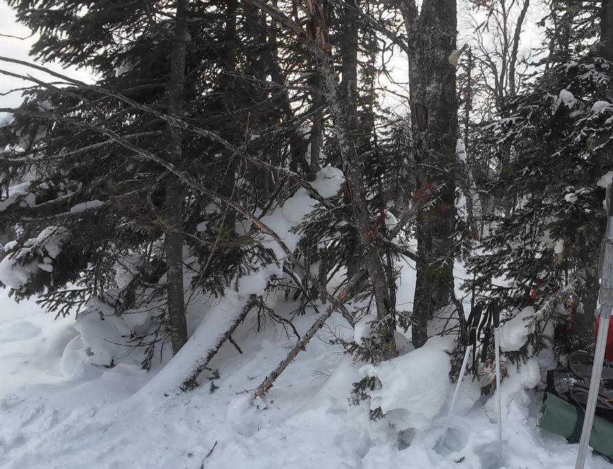 Фотография Олега Тайменя