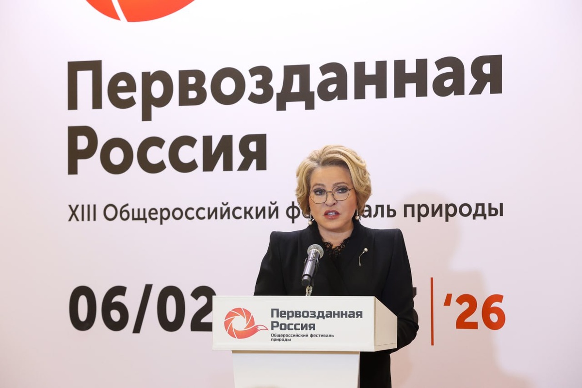 Фото: официальный канал Совета Федерации в Телеграм 