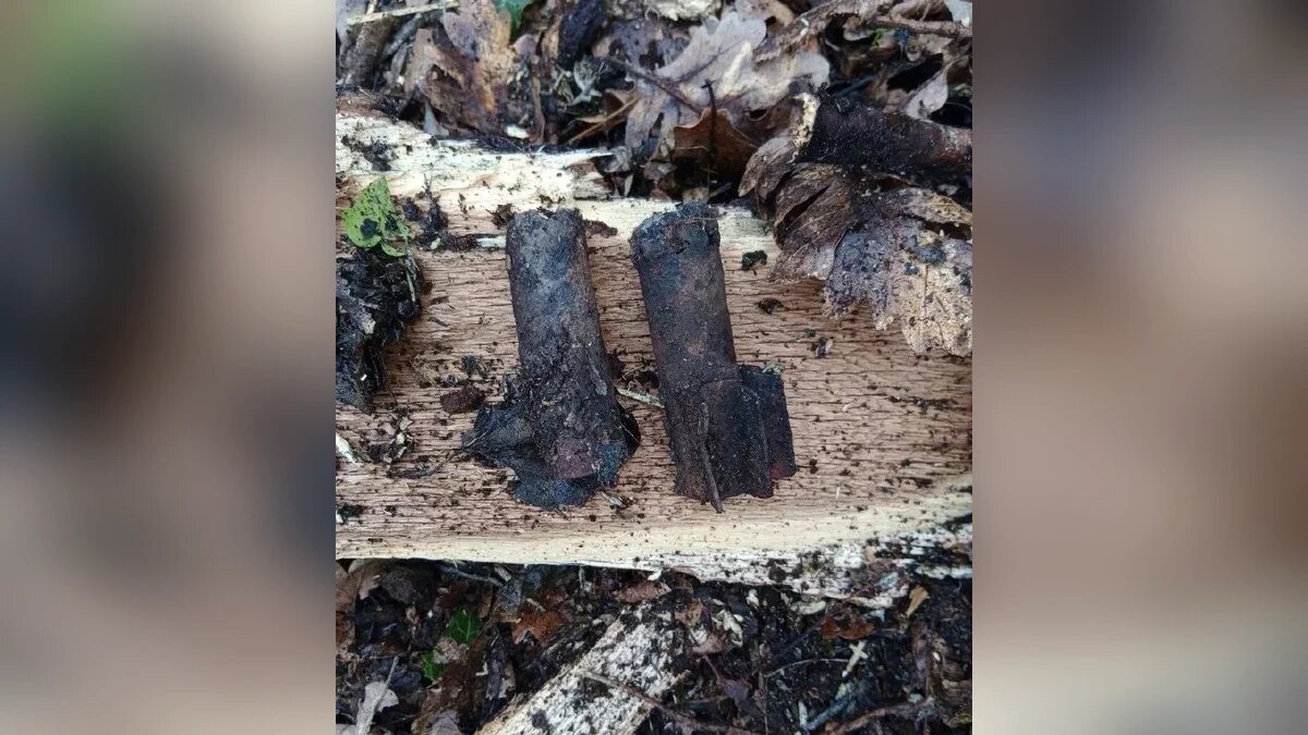    Фото t.me/kravchenko_glava_nvrsk