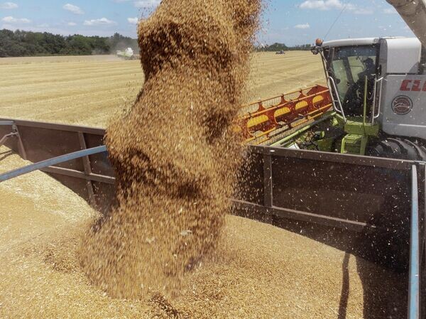 В ЕАЭС запускают финансовую поддержку кооперационных проектов в АПК